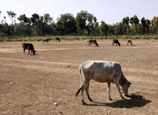 बूझ जाईं मलिकार कि मन चंगा त कठौती में गंगा