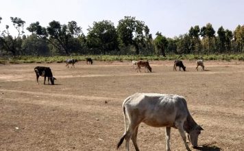 बूझ जाईं मलिकार कि मन चंगा त कठौती में गंगा