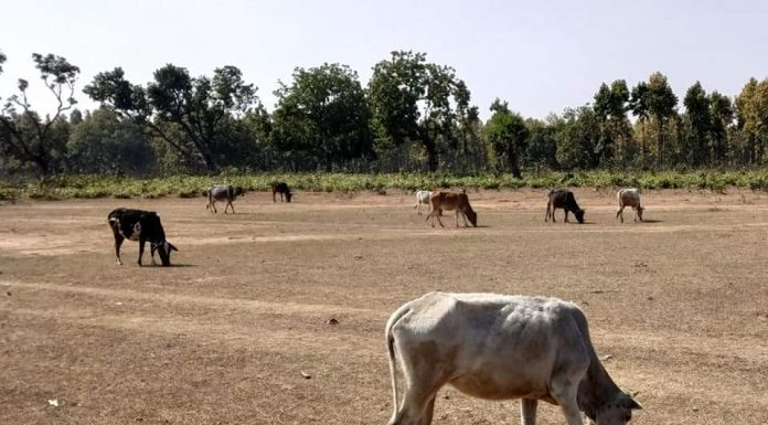 बूझ जाईं मलिकार कि मन चंगा त कठौती में गंगा
