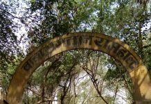 बाबा भगवान राम हाल्ट 20 वर्षो से विकास की प्रतीक्षा सूची में