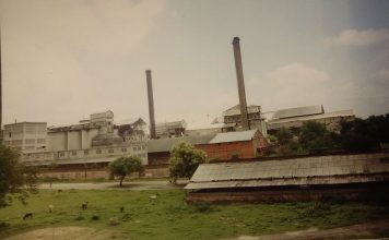 98 करोड़ में बिकी शहर और पहाड़ की जमीन, बिकेगा डालमियानगर भी