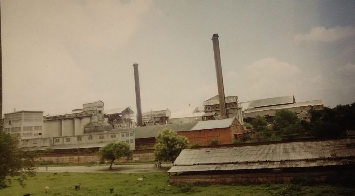 98 करोड़ में बिकी शहर और पहाड़ की जमीन, बिकेगा डालमियानगर भी