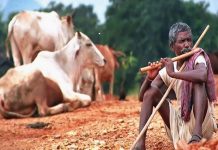 SC/ST वर्ग के युवाओं को आत्मनिर्भर बनाने में जुटी है बिहार सरकार