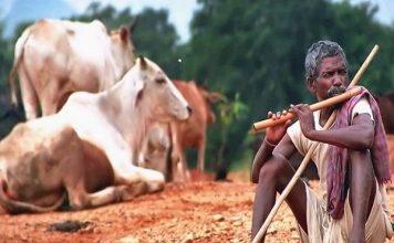 पशुपालन से आय को बढ़ावा देने की बिहार सरकार ने बनायी योजना