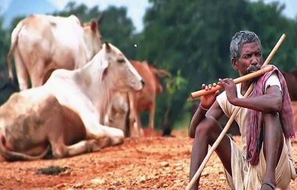 SC/ST वर्ग के युवाओं को आत्मनिर्भर बनाने में जुटी है बिहार सरकार