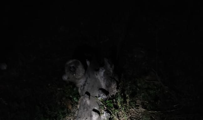 गोपालगंज के विधायक के बथान के बाहर मिलीं शराब की खाली बोतलें