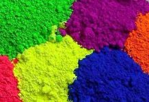 घर-परिवार से दूर पहली बार साथियों संग ऐसे मना होली का त्योहार