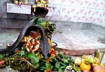 शिवलिंग पर साक्षात प्रकट हुए नाग और नागिन, देखने उमड़ी भीड़