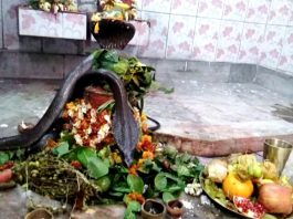 शिवलिंग पर साक्षात प्रकट हुए नाग और नागिन, देखने उमड़ी भीड़