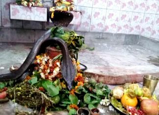 शिवलिंग पर साक्षात प्रकट हुए नाग और नागिन, देखने उमड़ी भीड़