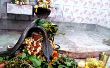 शिवलिंग पर साक्षात प्रकट हुए नाग और नागिन, देखने उमड़ी भीड़