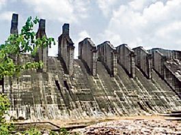 NOC मिला, पलामू में 3 लाख साल के पेड़ मंडल डैम की भेंट चढ़ेंगे पलामू में बन रहा मंगल डैम