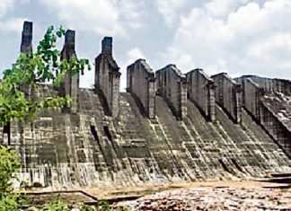 NOC मिला, पलामू में 3 लाख साल के पेड़ मंडल डैम की भेंट चढ़ेंगे पलामू में बन रहा मंगल डैम