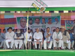 नीतीश का दावा, विकास के बल पर बिहार को दिलायी देश में पहचान चुनावी सभा के दौरान मुख्यमंत्री नीतीश कुमार