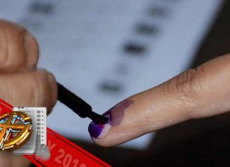 जानिए अपने वोट की कीमत, एक वोट से गिरी थी अटल सरकार मतदान