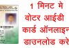 एक अदद वोटर आईडी ने हमारी नागरिकता को संदिग्ध बना दिया!