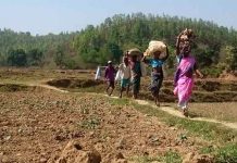 रहिमन पानी राखिए बिन पानी सब सून यानी झारखंड का पलामू पलामू में सूखे के हालात