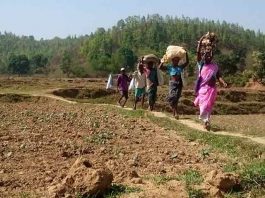 रहिमन पानी राखिए बिन पानी सब सून यानी झारखंड का पलामू पलामू में सूखे के हालात