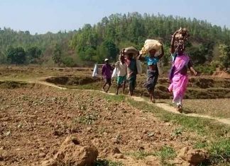 रहिमन पानी राखिए बिन पानी सब सून यानी झारखंड का पलामू पलामू में सूखे के हालात