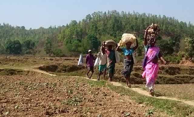 रहिमन पानी राखिए बिन पानी सब सून यानी झारखंड का पलामू पलामू में सूखे के हालात