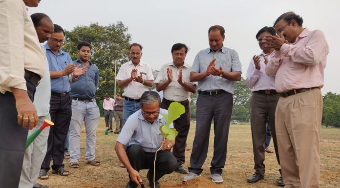 चिरेका में विश्व पर्यावरण दिवस जागरूकता रैली, वृक्षारोपण चितरंजन रेल इंजन कारखाना के गोल्फ ग्राउंड में वृक्षारोपण करते अधिकारी