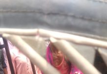 सड़क दुर्घटनाओं का दिन रहा सोमवार, एक ही जगह 11 मरे कटिहार के फलका में सड़क दुर्घटना में 2 मरे