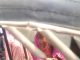 सड़क दुर्घटनाओं का दिन रहा सोमवार, एक ही जगह 11 मरे कटिहार के फलका में सड़क दुर्घटना में 2 मरे