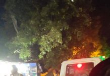 डीजीपी साहब, क्या अपराध नियंत्रण का मतलब दहशत फैलाना है पटना की सड़कों पर गश्त लगाती पुलिस