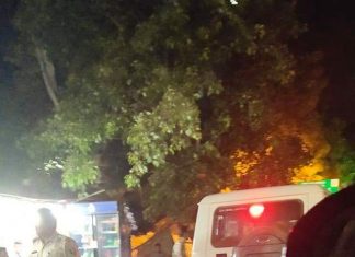 डीजीपी साहब, क्या अपराध नियंत्रण का मतलब दहशत फैलाना है पटना की सड़कों पर गश्त लगाती पुलिस