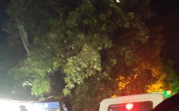 डीजीपी साहब, क्या अपराध नियंत्रण का मतलब दहशत फैलाना है पटना की सड़कों पर गश्त लगाती पुलिस