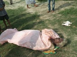 गंगा स्नान को गई महिला की डूबने से हुई मौत गंगा स्नान को गयी महिला की डूबने से मौत