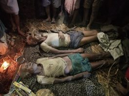 बिहार में 12 बच्चों समेत 16 लोगों की मौत से मचा कोहराम बिहार के अरवल जिले में ठनका से 2 सहोदर भाइयों की मौत