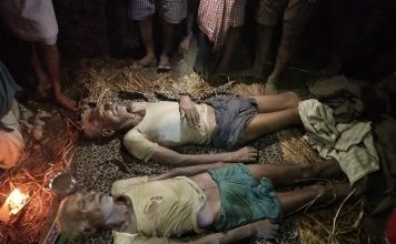 बिहार में 12 बच्चों समेत 16 लोगों की मौत से मचा कोहराम बिहार के अरवल जिले में ठनका से 2 सहोदर भाइयों की मौत