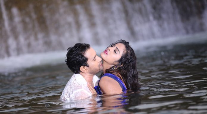 दर्शकों को काफी पसंद आ रही है फिल्म लल्लू की लैला