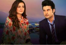 बॉलीवुड को लेनी चाहिए इनके वेब शो से प्रेरणा