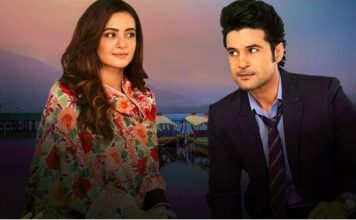 बॉलीवुड को लेनी चाहिए इनके वेब शो से प्रेरणा