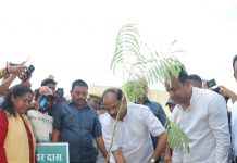 पेड़-पौधे जीवन और संस्कृति दोनों के लिए जरूरी: रघुवर