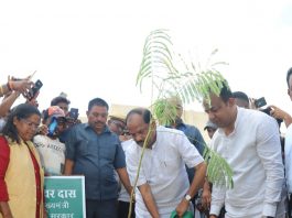 पेड़-पौधे जीवन और संस्कृति दोनों के लिए जरूरी: रघुवर