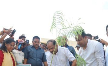 पेड़-पौधे जीवन और संस्कृति दोनों के लिए जरूरी: रघुवर