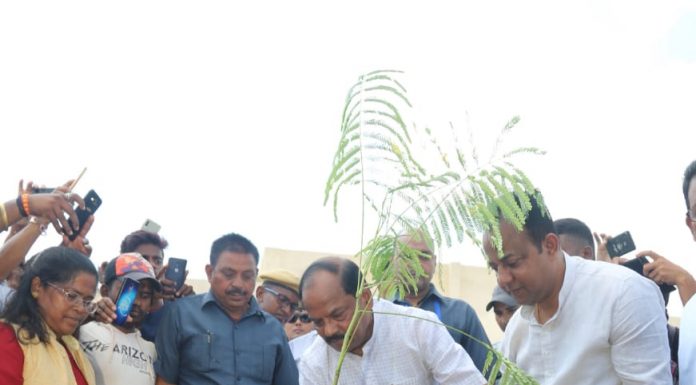 पेड़-पौधे जीवन और संस्कृति दोनों के लिए जरूरी: रघुवर