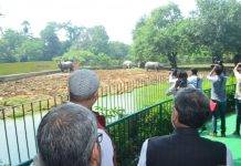 पटना जू में जल्द दिखेगा दो सिंग वाला गैंडा