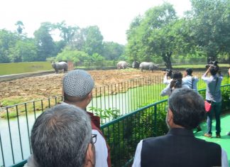 पटना जू में जल्द दिखेगा दो सिंग वाला गैंडा