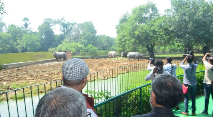 पटना जू में जल्द दिखेगा दो सिंग वाला गैंडा