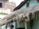 मलिकाइन के पातीः इयारी में बेसी होशियारी ठीक ना होखे नीतीश जी! गांव की प्रतीकात्मक तस्वीरः स1जन्य- बाबूलाल जी