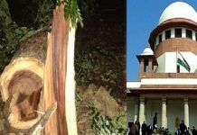 मुंबई में हरे वृक्षों का संहार रुक गया, आभार उच्चतम न्यायालय का मुंबई में हरे वृक्षों का संहार रुक गया, उच्चतम न्यायालय की पहल से