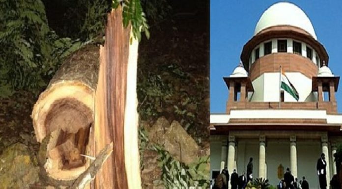 मुंबई में हरे वृक्षों का संहार रुक गया, आभार उच्चतम न्यायालय का मुंबई में हरे वृक्षों का संहार रुक गया, उच्चतम न्यायालय की पहल से