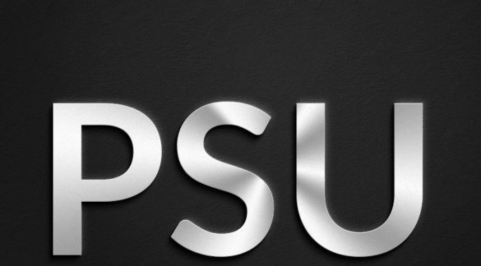 BPCL समेत इन 5 बड़ी कंपनियों को बेचने की तैयारी में सरकार! पब्लिक अंटकटेकिंग कंपनीज