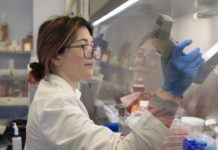 चाईनीज बीमारी कोरोनावायरस की रोकथाम में होम्योपैथ कारगर कोरोना वायरस से मची तबाही में होम्योपैथी दवा कारगर