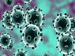 कोरोना काल में ऐसी खबरें, जो भारत की ताकत का एहसास कराती हैं कोरोना काल में ऐसी खबरें, जो भारत की ताकत का एहसास कराती हैं