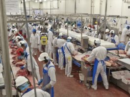 केंद्र के डीए रोकने के फैसले से निजी क्षेत्र के कामगारों पर मंडराता खतरा केंद्र सरकार के हालिया एक फैसले से निजी क्षेत्र के कामगारों पर ‘कोरोना’ संकट का खतरा मंडरा रहा है। केंद्र सरकार ने डीए की किश्तें रोकने का फैसला किया है।